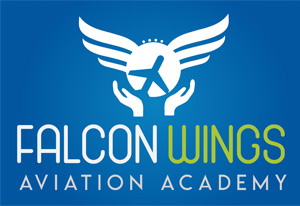 Falcon Wings